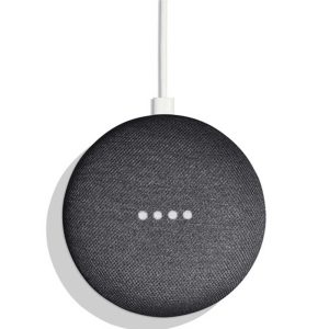 google home mini charcoal