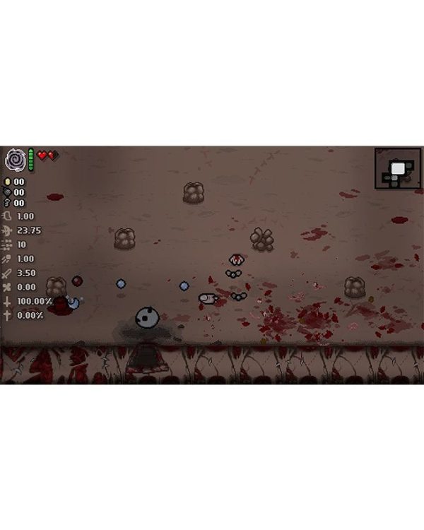 The Binding of Isaac: Afterbirth+ Launch Edition Switch - Sega
