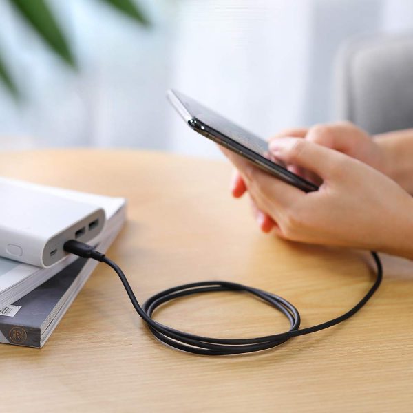 51XZ5IAU3cL._SL1000_ USB Type C to Lightning Cable by RavPower MFi Certified for Fast Wired Charging - 3 Feet - 1 meter - Black - RP-CB054-S - Image 5