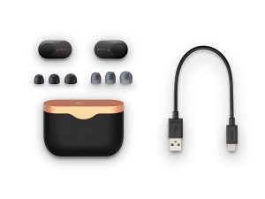 Sony WF-1000XM3 Industry Leading Noise Canceling Truly Wireless Earbuds - Black - Image 3