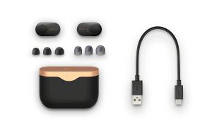 Sony WF-1000XM3 Industry Leading Noise Canceling Truly Wireless Earbuds - Black - Image 10