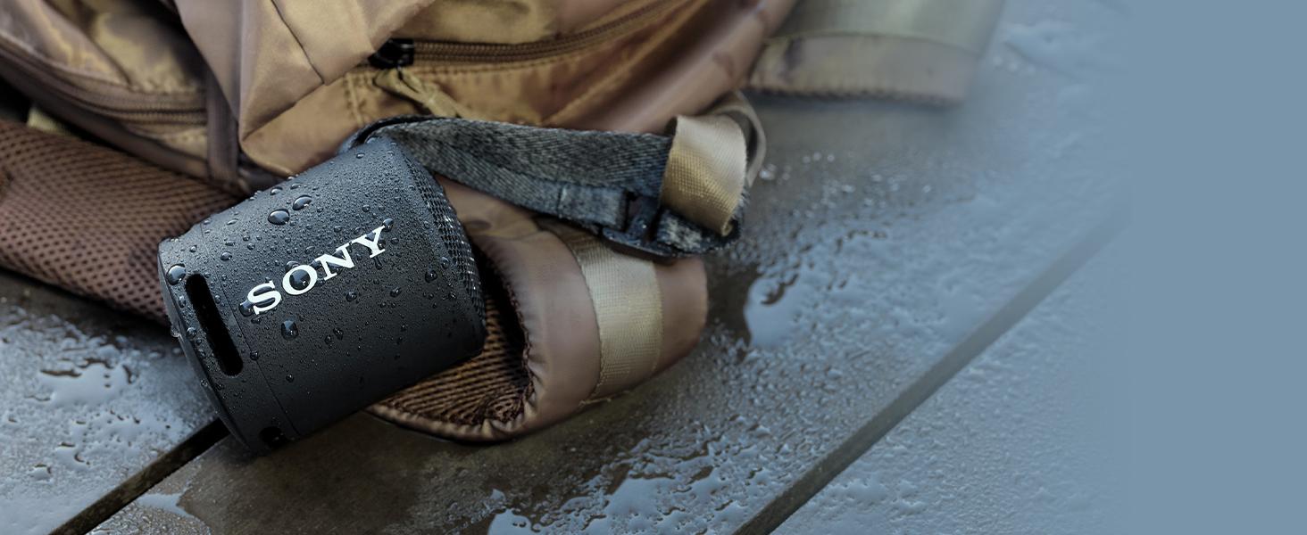 cf7d5204 4235 4016 93fc e4b66efefec6. CR001464600 PT0 SX1464 V1