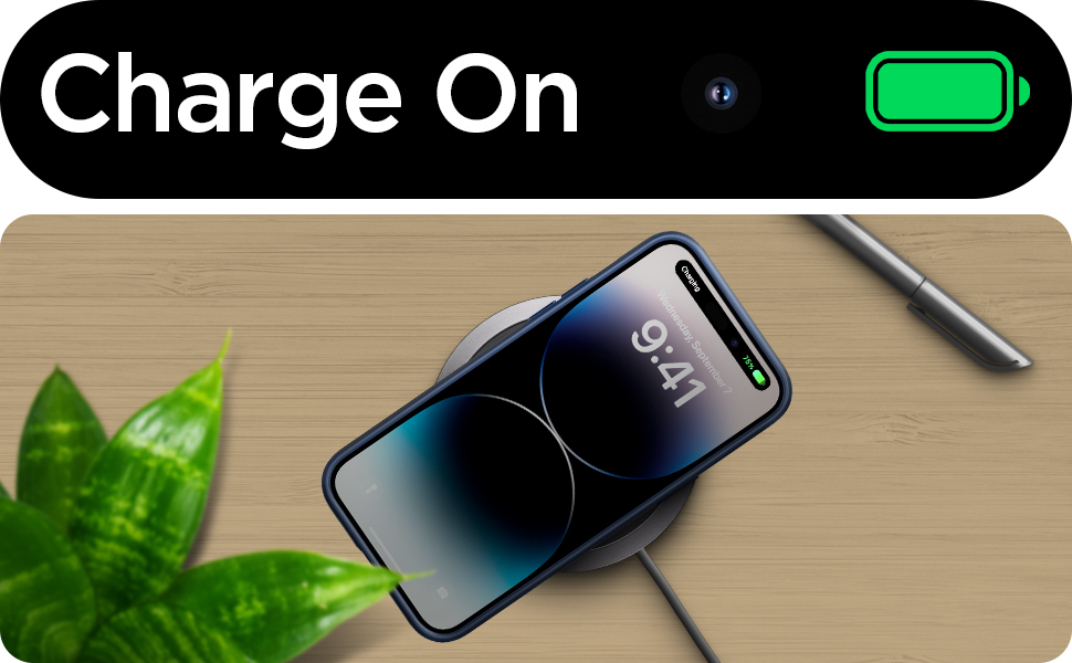 2cdec433 ea99 43f8 8059 8e75d8ca92d2. CR00970600 PT0 SX970 V1