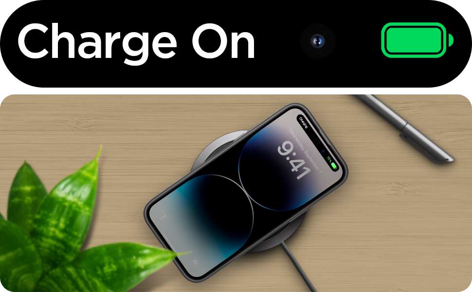 bcebf1dc aada 49e2 ada8 17e6e1ebba32. CR00970600 PT0 SX970 V1