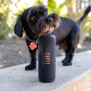 JBL Flip 6 Portable Bluetooth Speaker Powerful Sound And Deep Bass IPX7 Waterproof 12 Hours Of Playtime JBL PartyBoost for Multiple Speaker Pairing For Home Outdoor And Travel - Black - Image 9