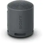 Sony SRS-XB100 Wireless Bluetooth Portable Speaker - Black