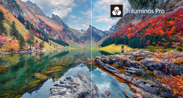 Sony K-55S30 55 BRAVIA 3 4K Ultra HD High Dynamic Range HDR Smart TV - Black - Image 6