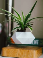 Trendy Creations Floating Plant Pot Only - White - Image 2