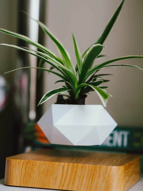 Trendy Creations Floating Plant Pot Only - White - Image 2