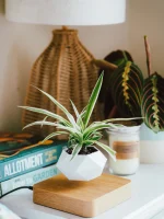 Trendy Creations Floating Plant Pot Only - White - Image 4