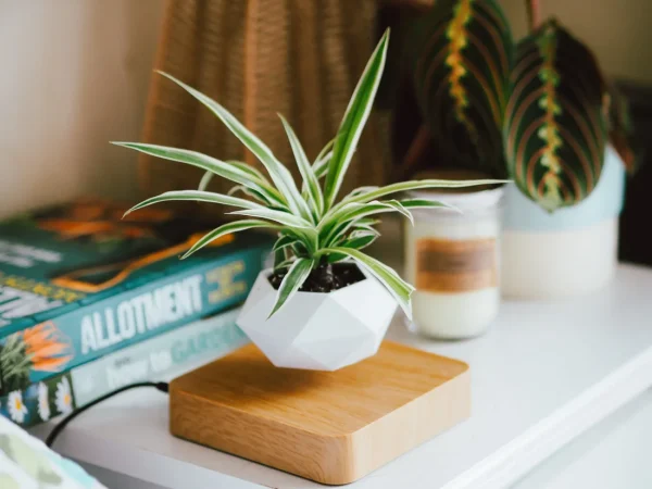 Trendy Creations Floating Plant Pot Only - White - Image 5