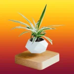 Trendy Creations Floating Plant Pot Only - White