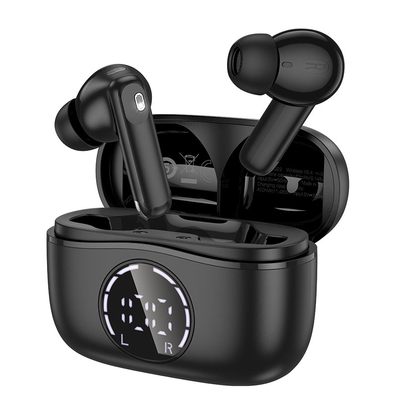 Hoco EQ22 Singer Earbuds Best Price in Pakistan