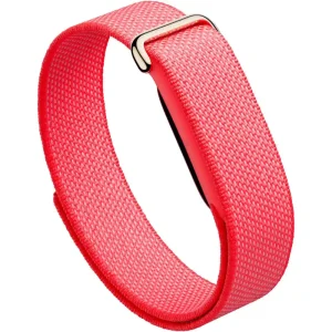 Google Fitbit Air Fitness Band Best Price in Pakistan